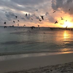 Meet your Posher, Jiselle